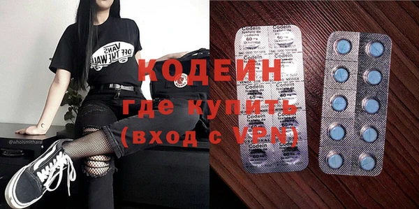 хмурый Дмитров