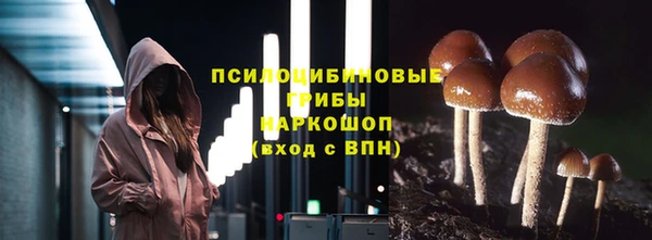 хмурый Дмитров