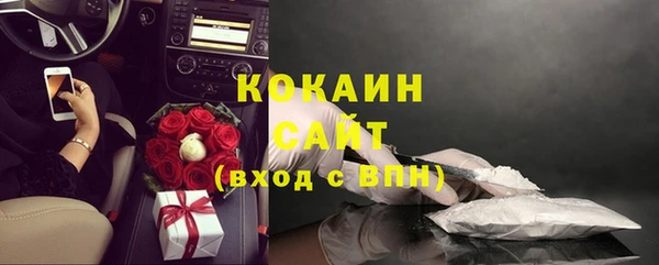хмурый Дмитров