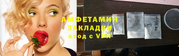 хмурый Дмитров