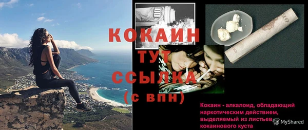 хмурый Дмитров