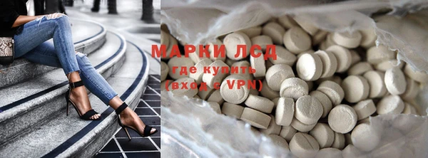хмурый Дмитров