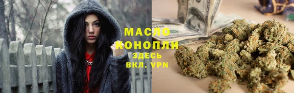 хмурый Дмитров