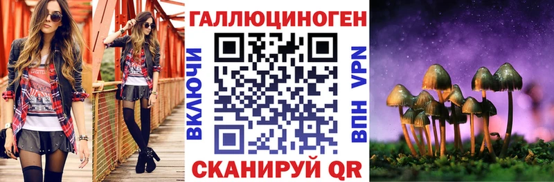 Псилоцибиновые грибы мицелий  Купить  Рубцовск 